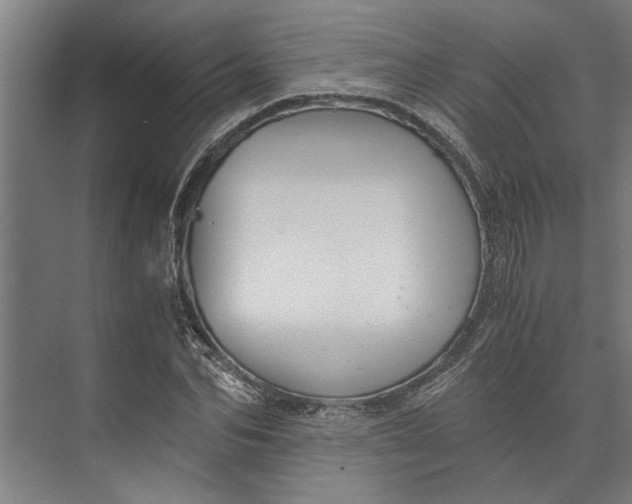 X0000073840974200608241012