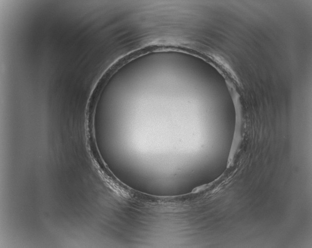 X0000073840976200608241012