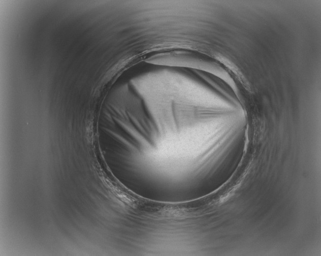 X0000073840977200608241012