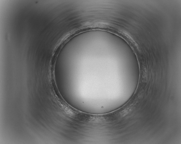 X0000073840978200608241012