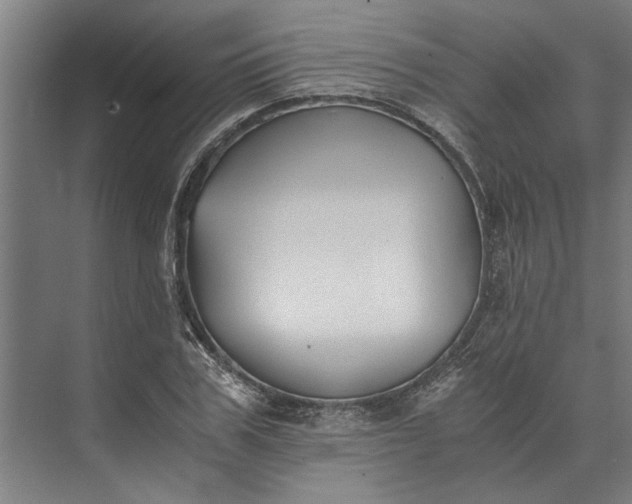 X0000073840979200608241012