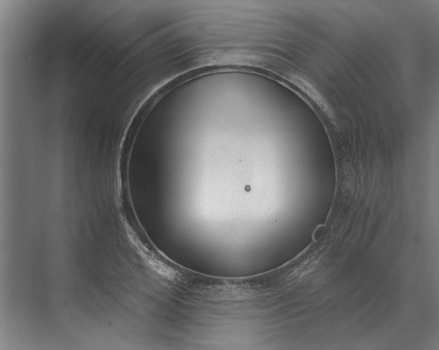 X0000073840980200608241012