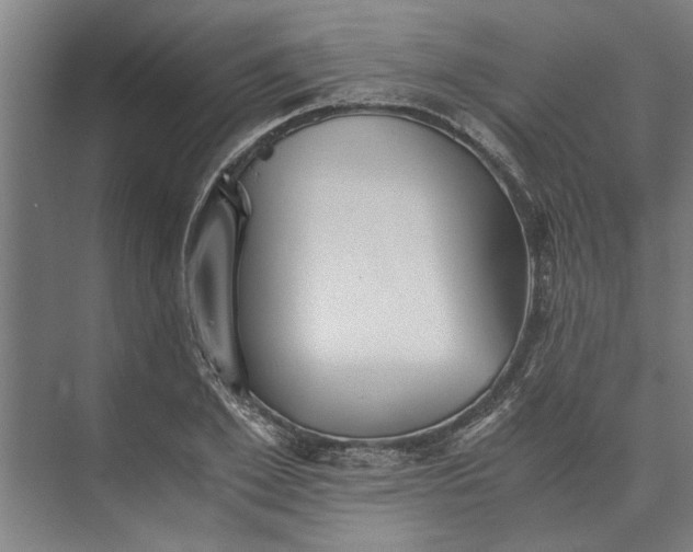 X0000073840981200608241012