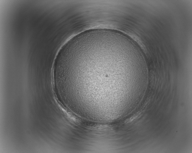 X0000073840982200608241012