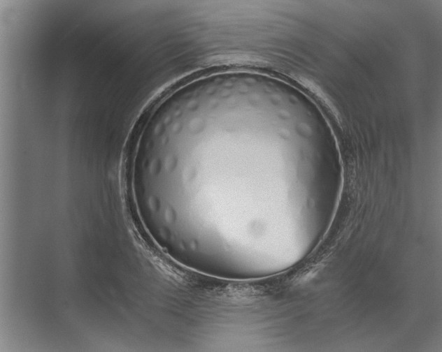 X0000073840983200608241012