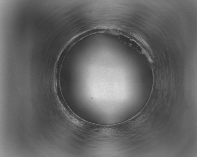 X0000073840984200608241012