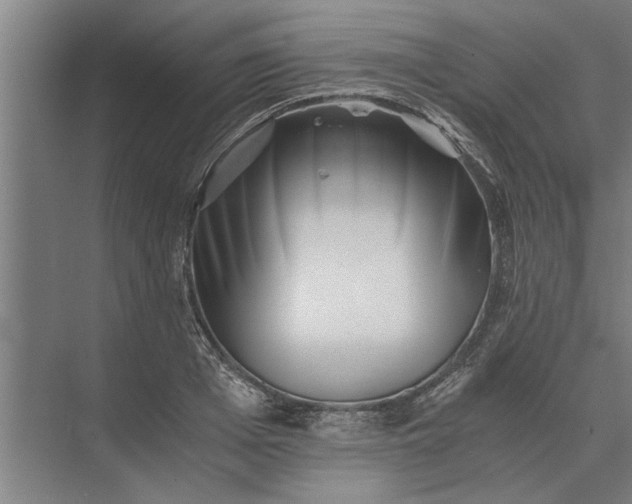 X0000073840985200608241012