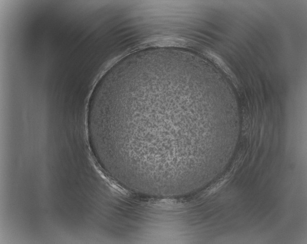 X0000073840986200608241012