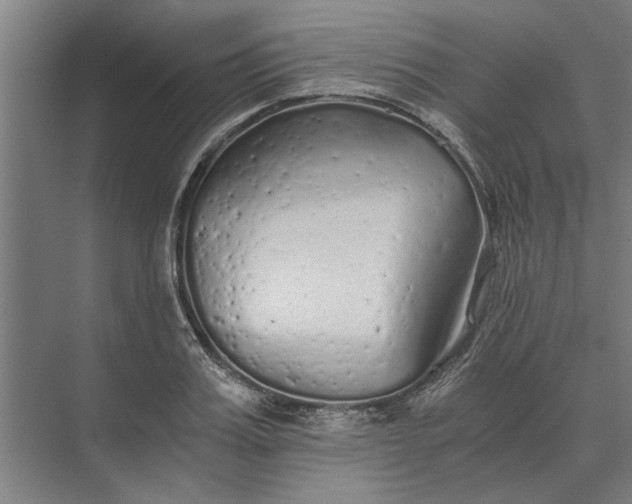 X0000073840987200608241012