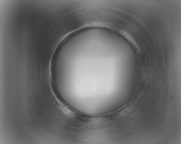 X0000073840988200608241012