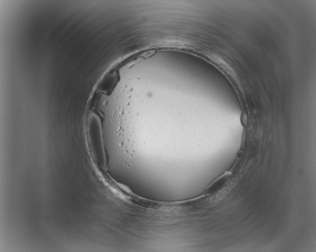 X0000073840989200608241012