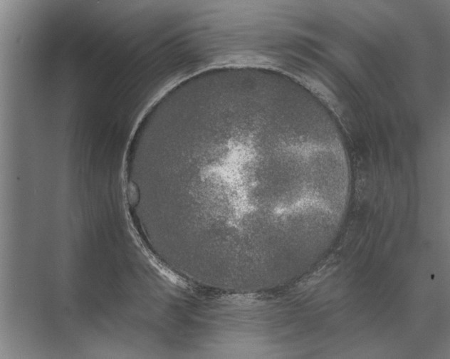 X0000073840990200608241012