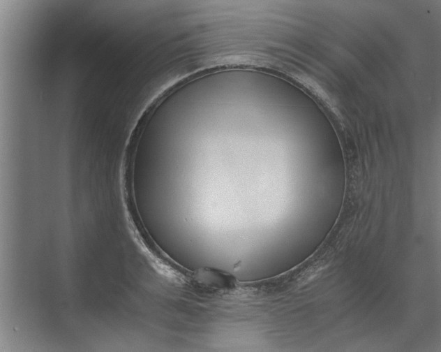 X0000073840991200608241012