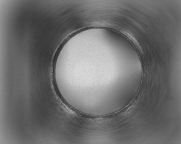 X0000073840992200608241012