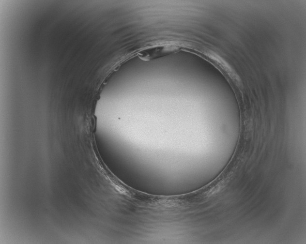 X0000073840993200608241012