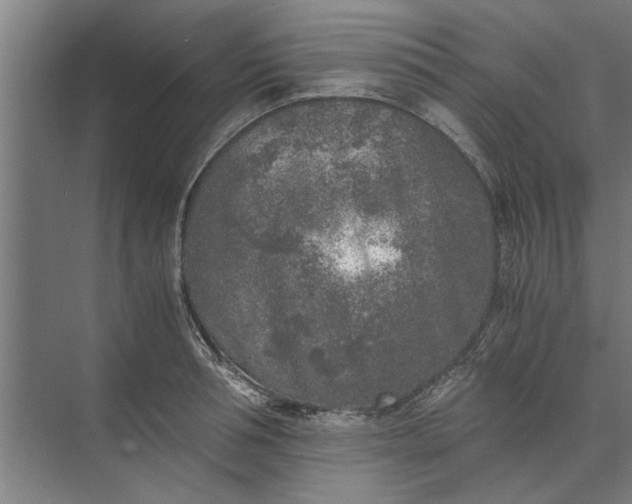 X0000073840994200608241012