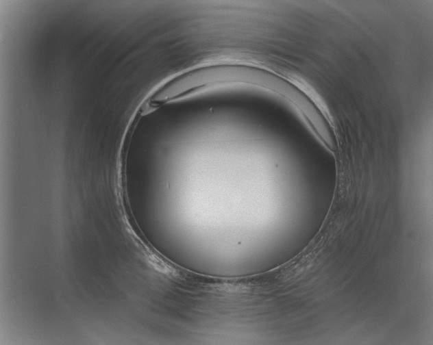 X0000073840996200608241012