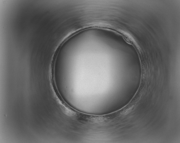 X0000073840999200608241012