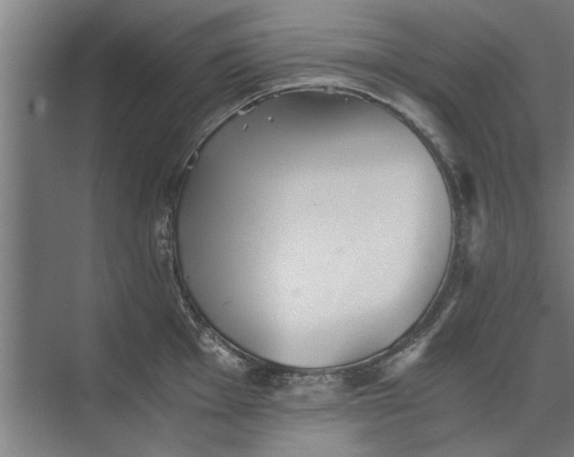 X0000073841001200608241012