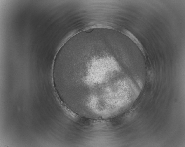 X0000073841002200608241012