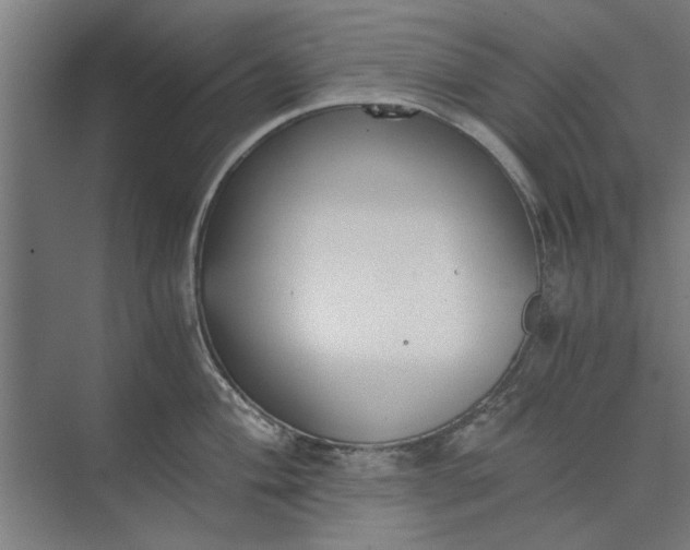 X0000073841004200608241012