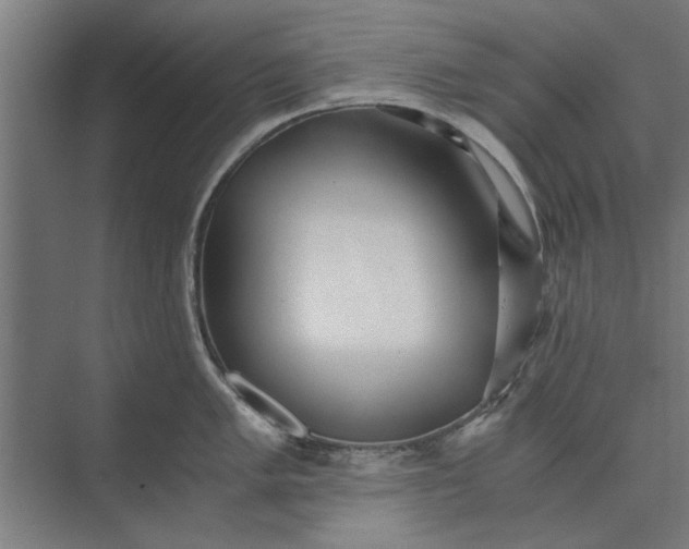 X0000073841005200608241012