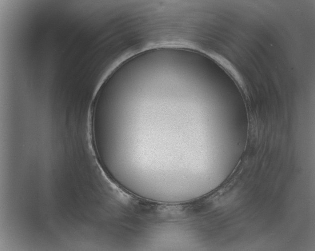 X0000073841006200608241012