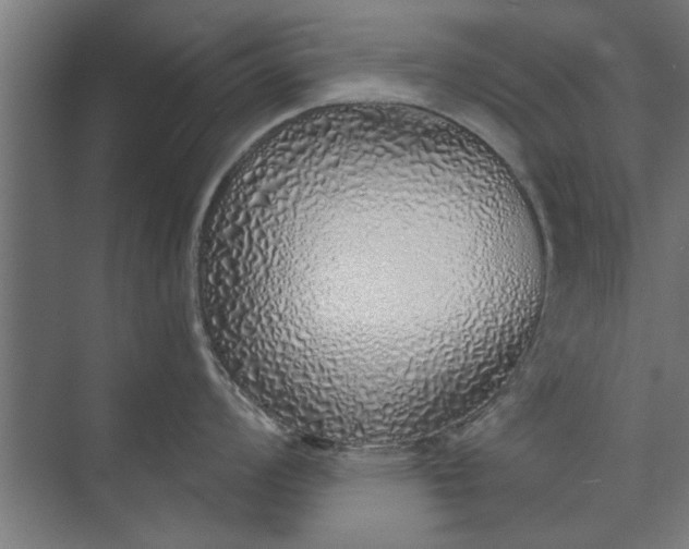 X0000073841008200608241012