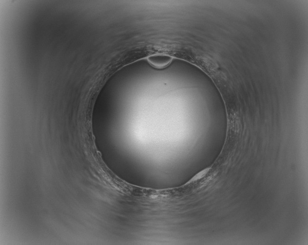 X0000073841009200608241011