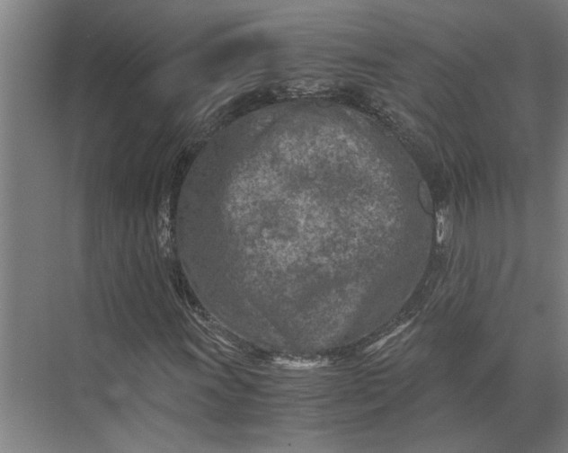 X0000073841011200608241011