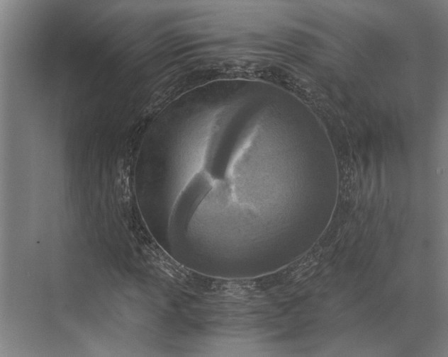 X0000073841013200608241011