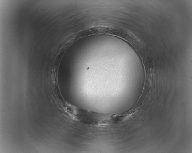 X0000073841014200608241011