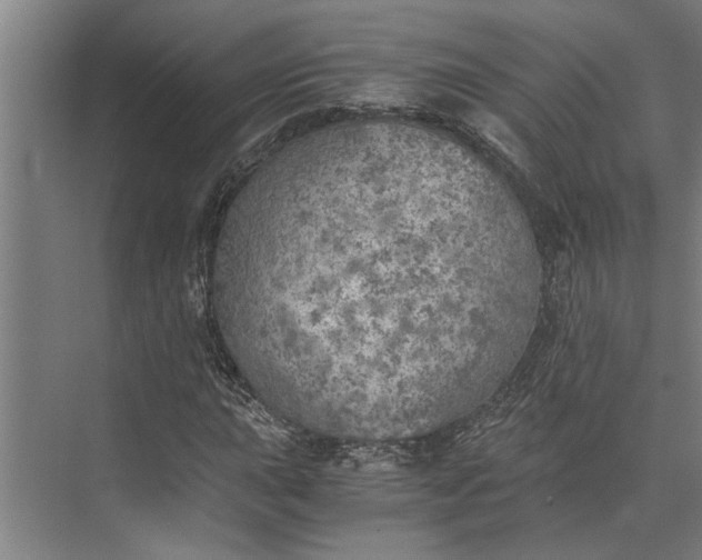 X0000073841015200608241011