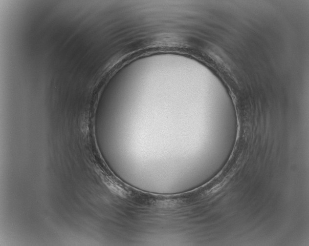 X0000073841017200608241011