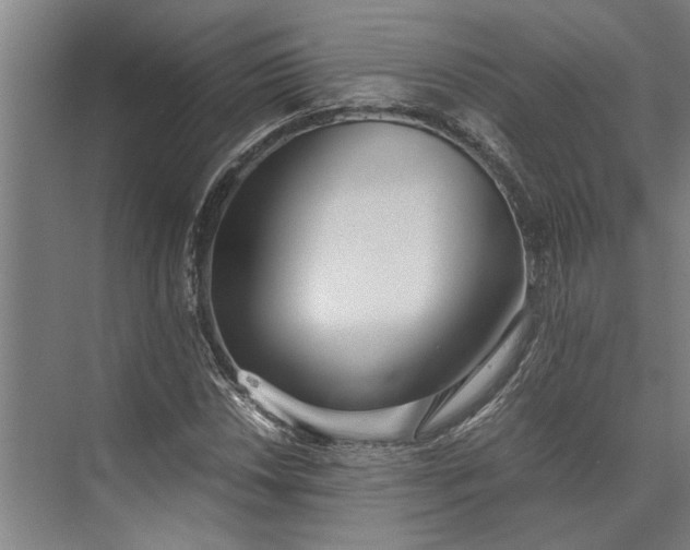 X0000073841018200608241011