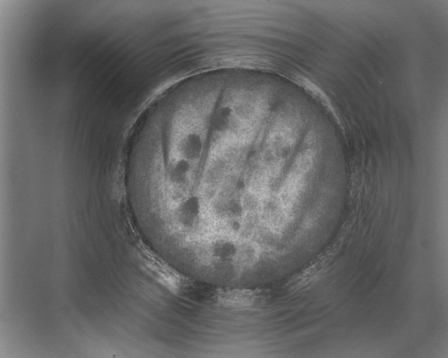 X0000073841019200608241011