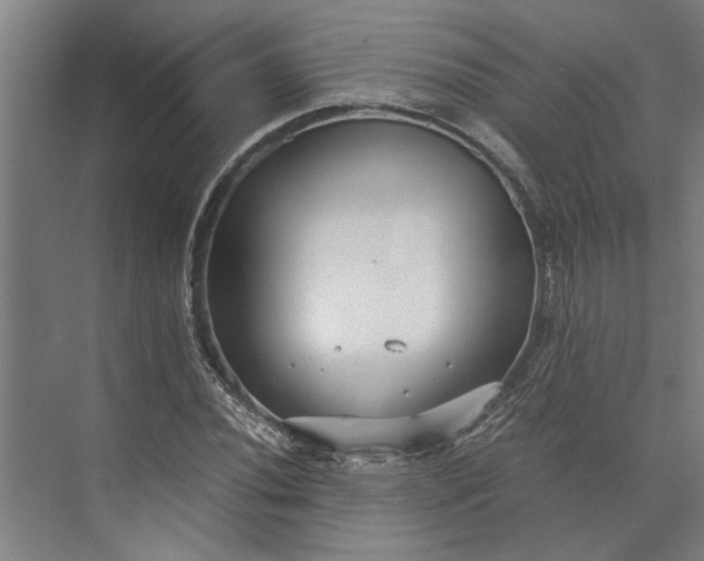 X0000073841020200608241011