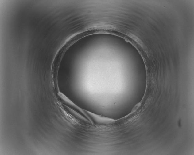 X0000073841022200608241011