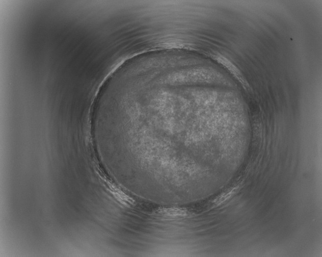 X0000073841023200608241011