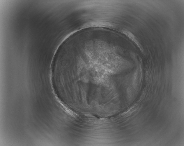 X0000073841024200608241011