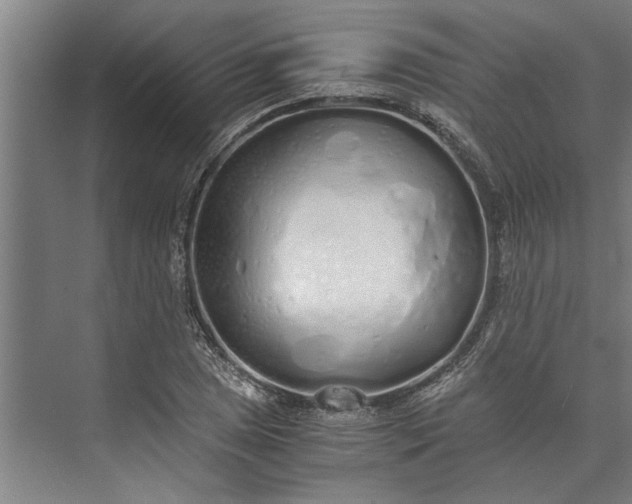 X0000073841025200608241011