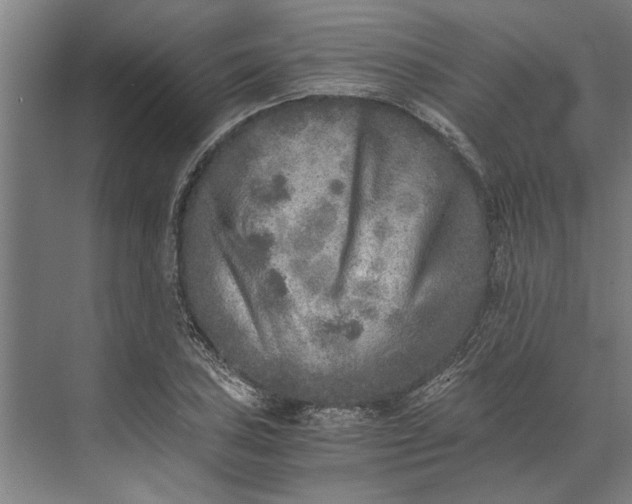 X0000073841027200608241011