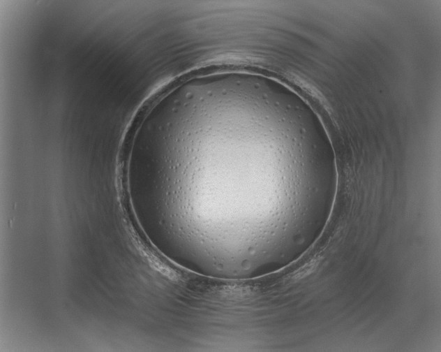 X0000073841029200608241011