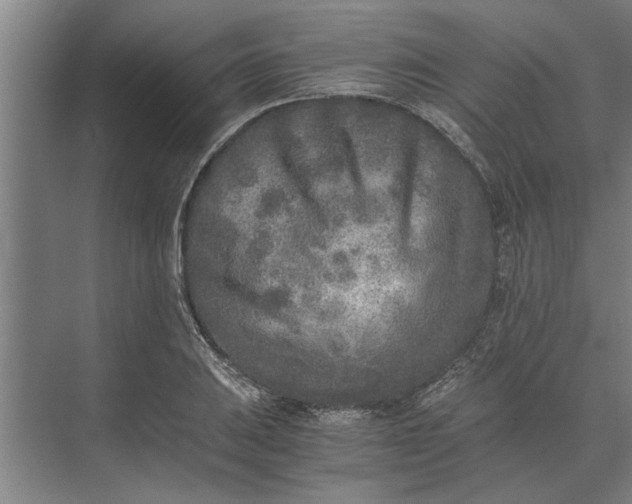 X0000073841031200608241011