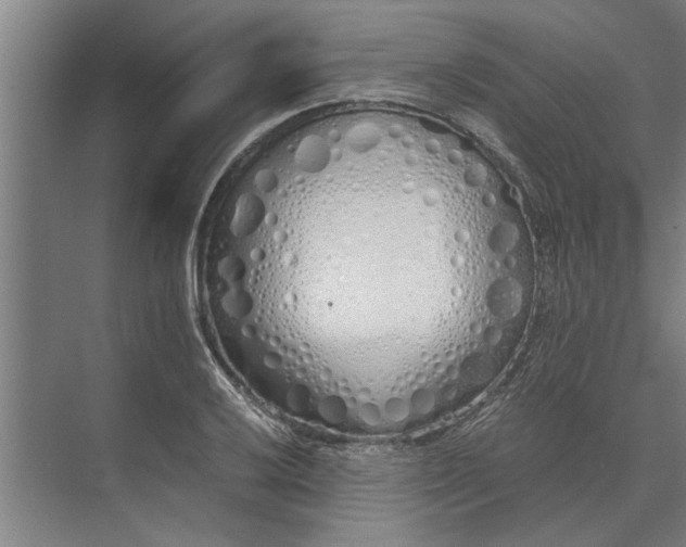 X0000073841032200608241011