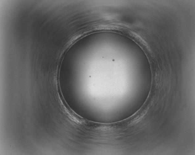 X0000073841033200608241011