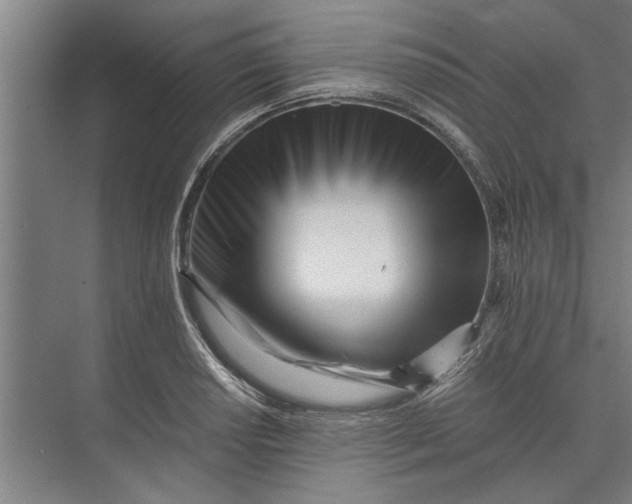 X0000073841034200608241011