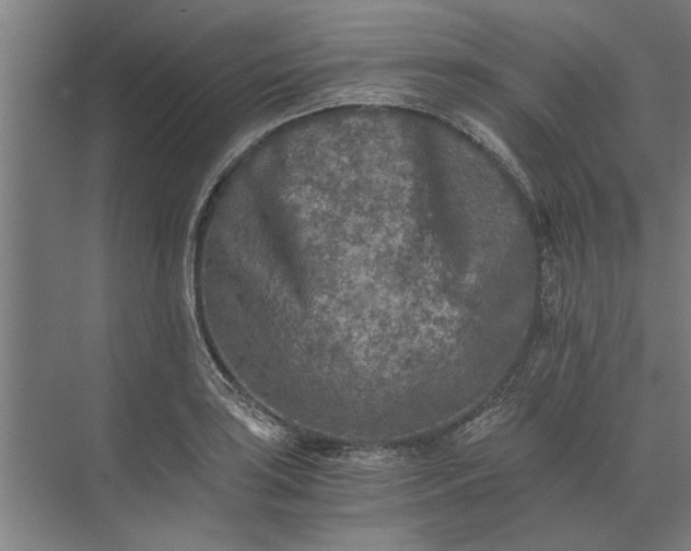 X0000073841035200608241011