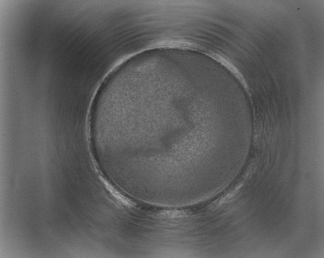 X0000073841037200608241011