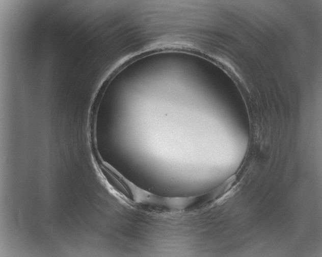 X0000073841038200608241011